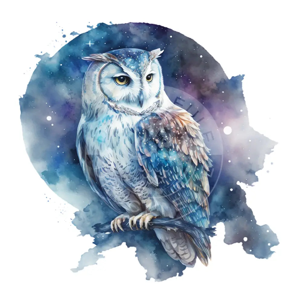 Bügelbild Eule 35-11