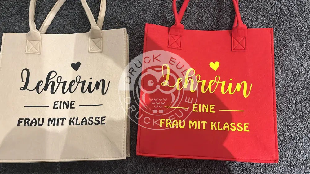 Bügelbild LEHRERIN EINE FRAU MIT KLASSE 1