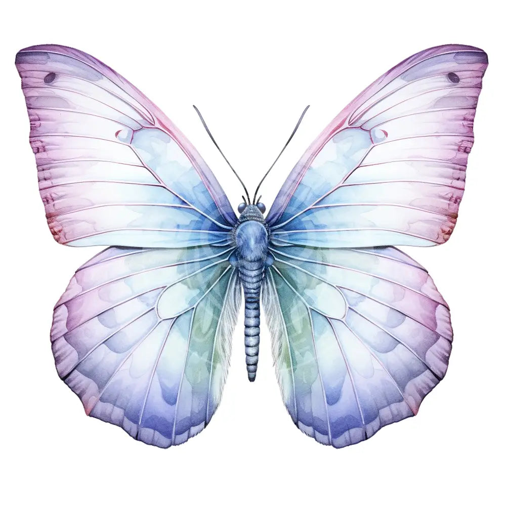 Bügelbild Schmetterling 879-13