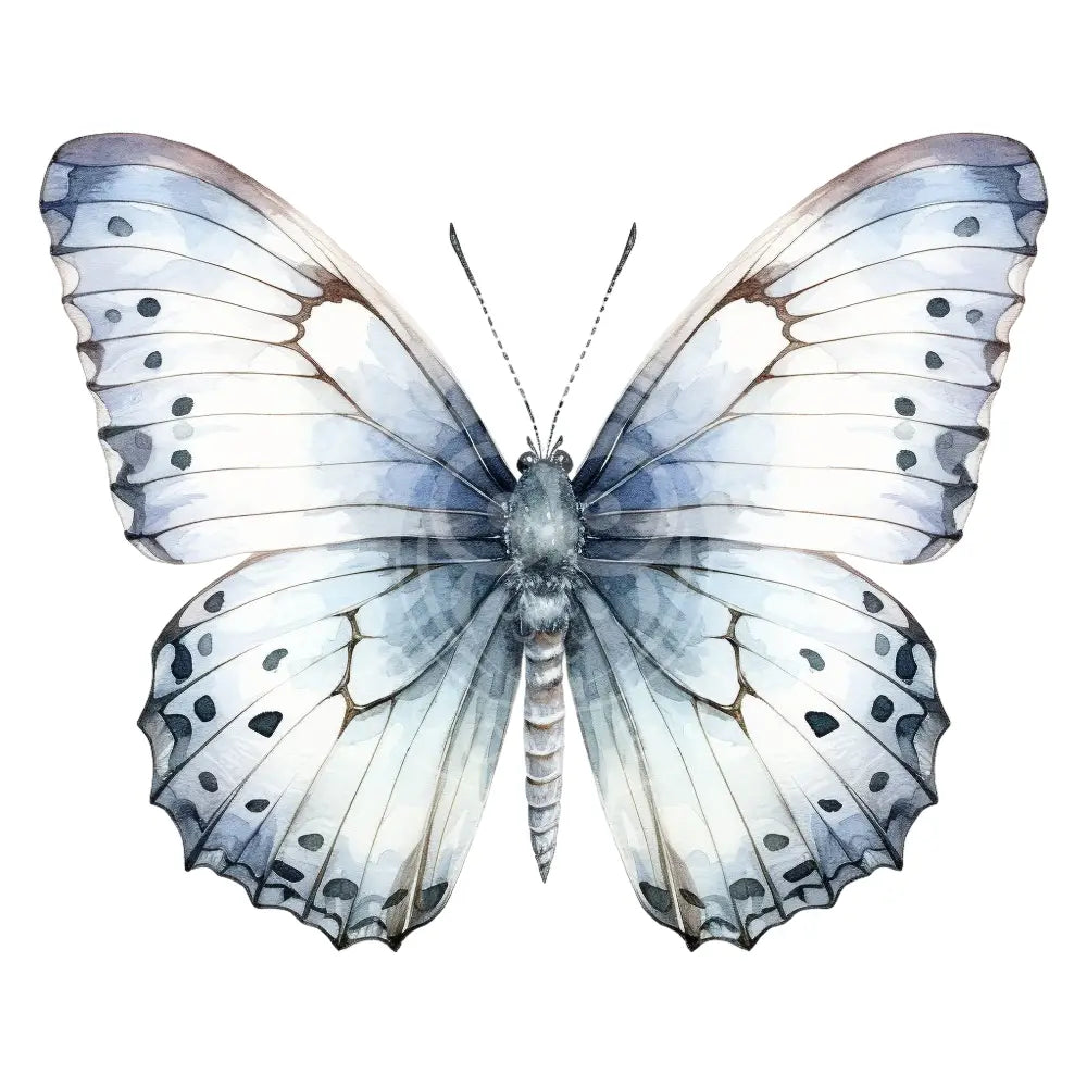 Bügelbild Schmetterling 879-28