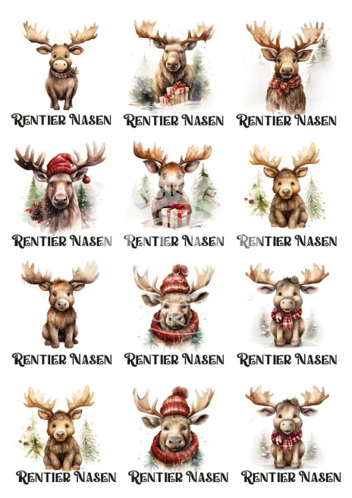 Rubon Bogen Rentier Nasen 1 rubon