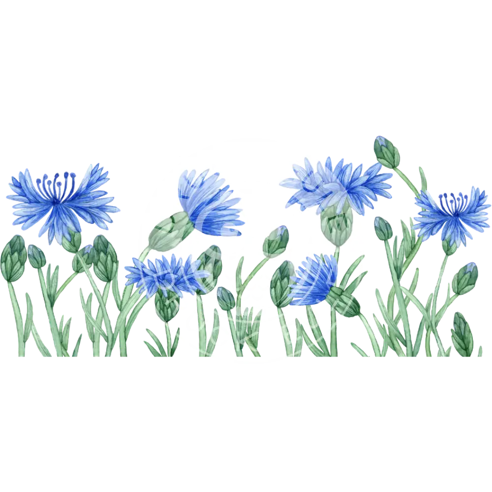 Wasserschiebefolie Blumenwiese 1