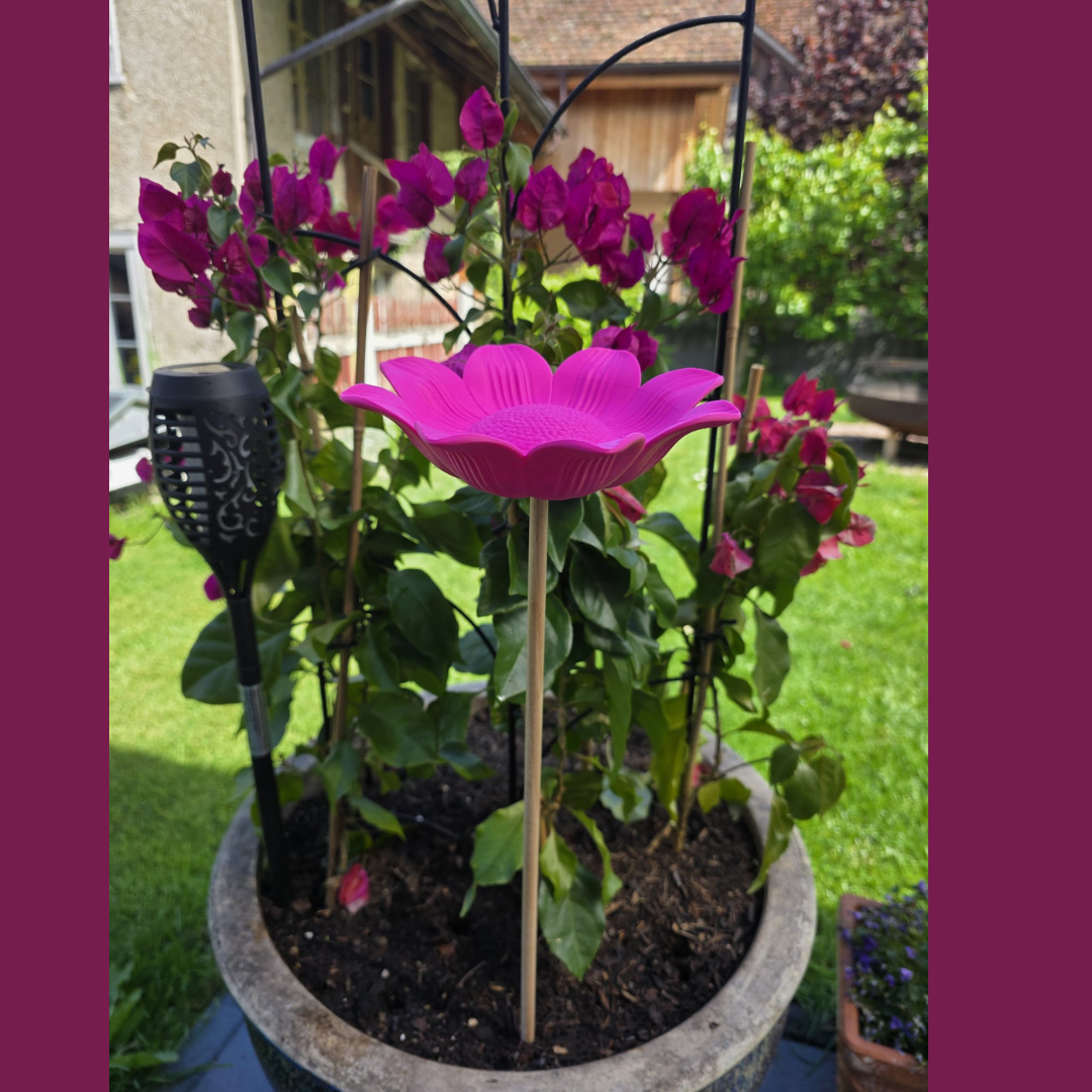 3D-Druck Insektentränke Blume