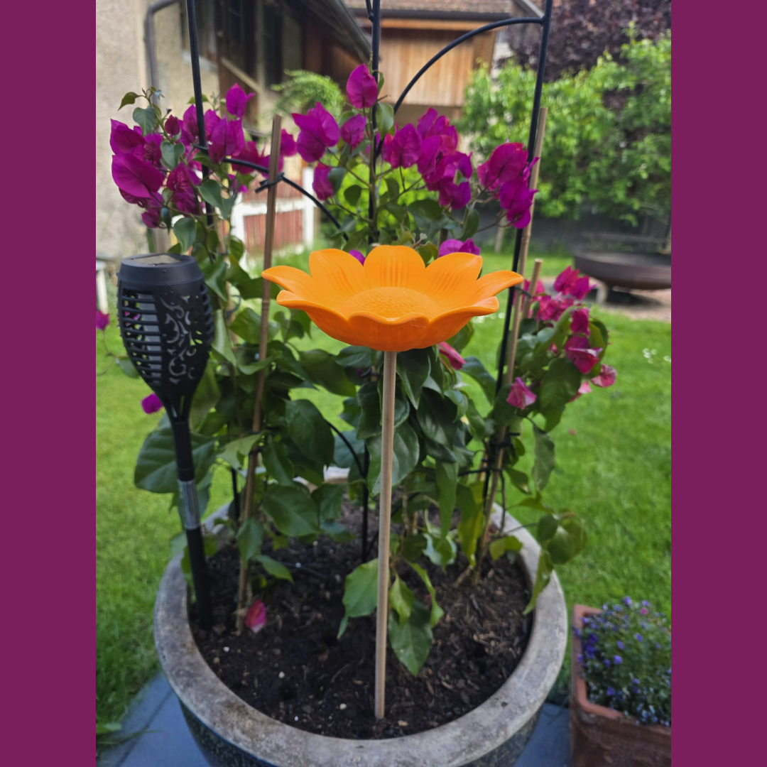 3D-Druck Insektentränke Blume