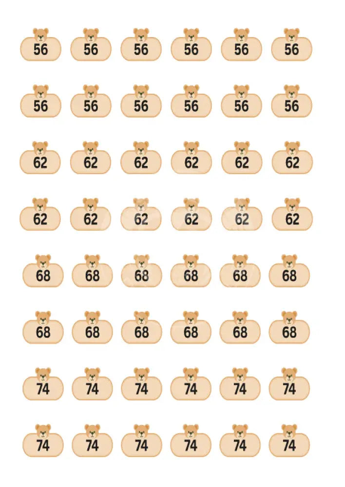 Bügelbild Bär 56-74