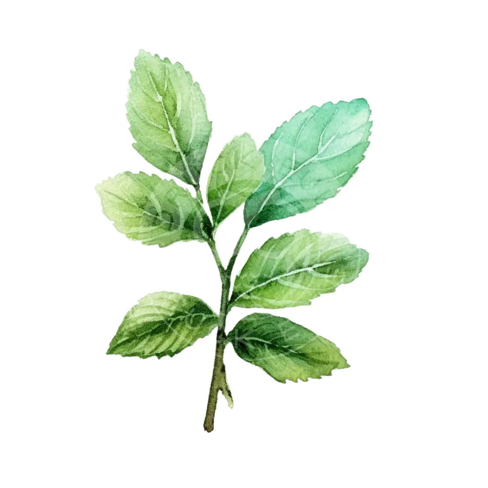 Bügelbild Blätter 110-19