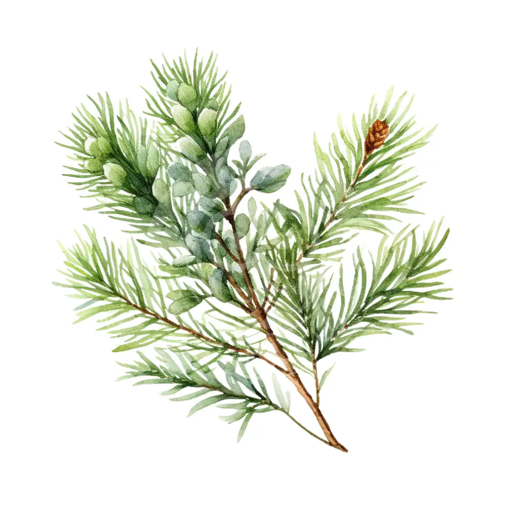 Bügelbild Blätter 110-28