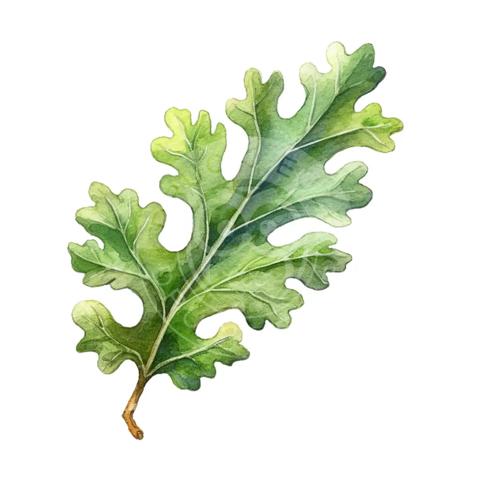 Bügelbild Blätter 110-34