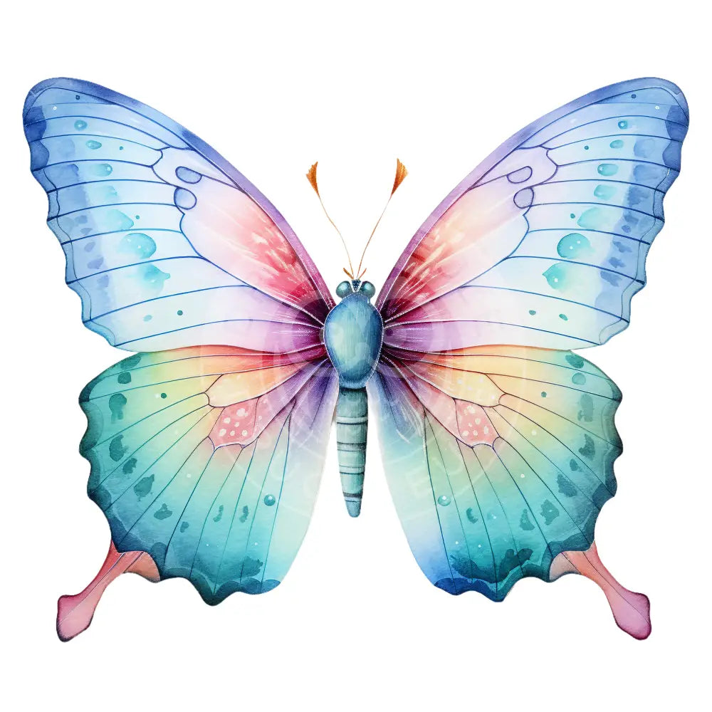 Bügelbild Schmetterling 879-2