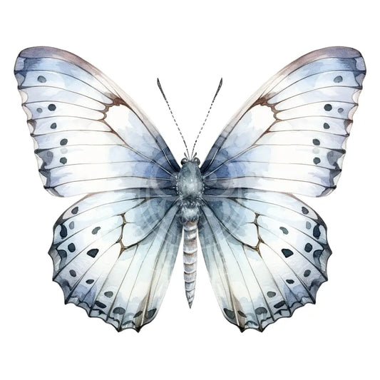 Bügelbild Schmetterling 879-28