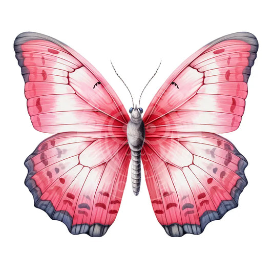 Bügelbild Schmetterling 879-35