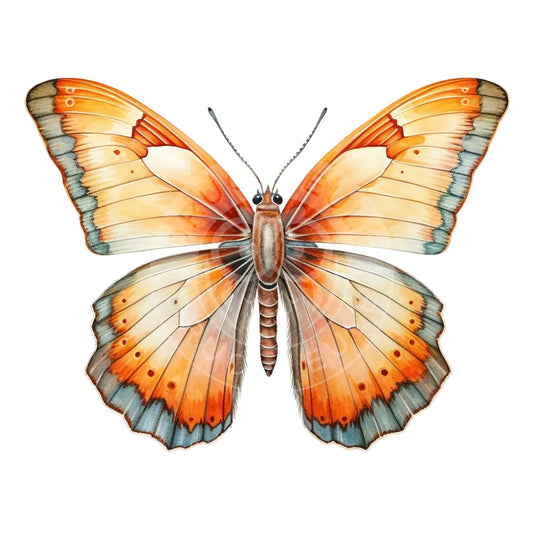 Bügelbild Schmetterling 879-39