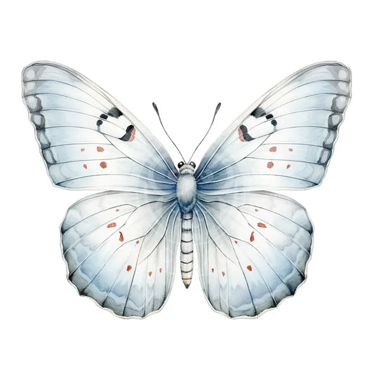 Bügelbild Schmetterling 879-9