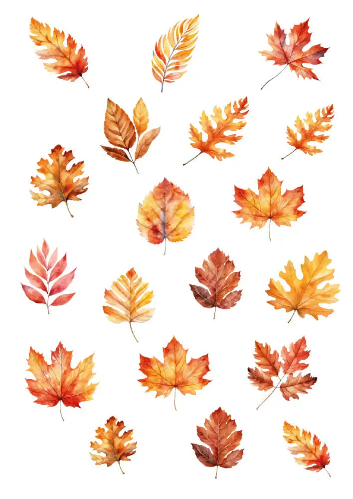 Rubon Bogen Blätter 1 rubon