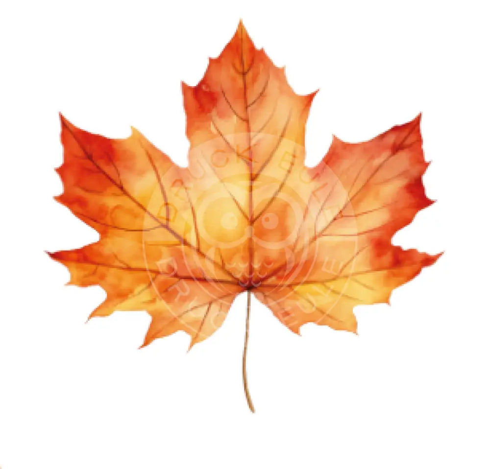 Rubon Bogen Blätter 1 rubon