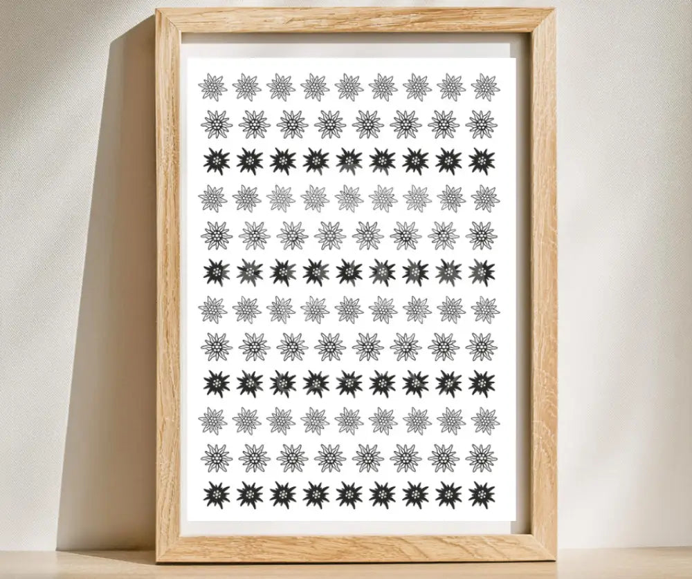 Rubon Bogen Edelweiss 1 rubon