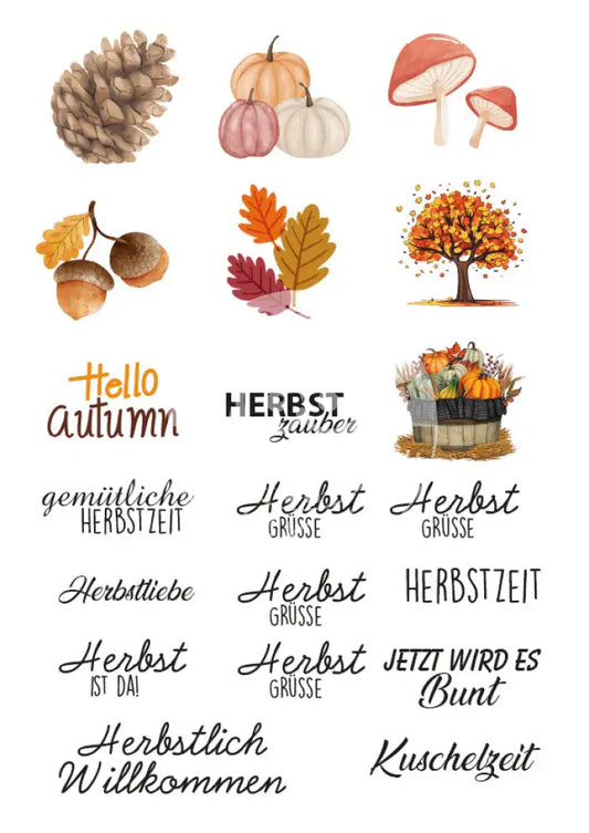 Rubon Bogen Herbst 4 rubon