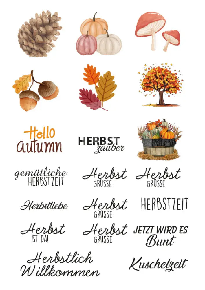 Rubon Bogen Herbst 4 rubon