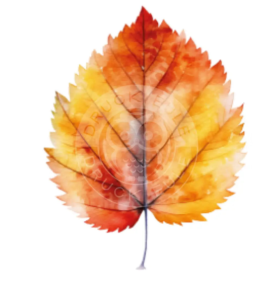 Rubon Bogen Herbst 5 rubon