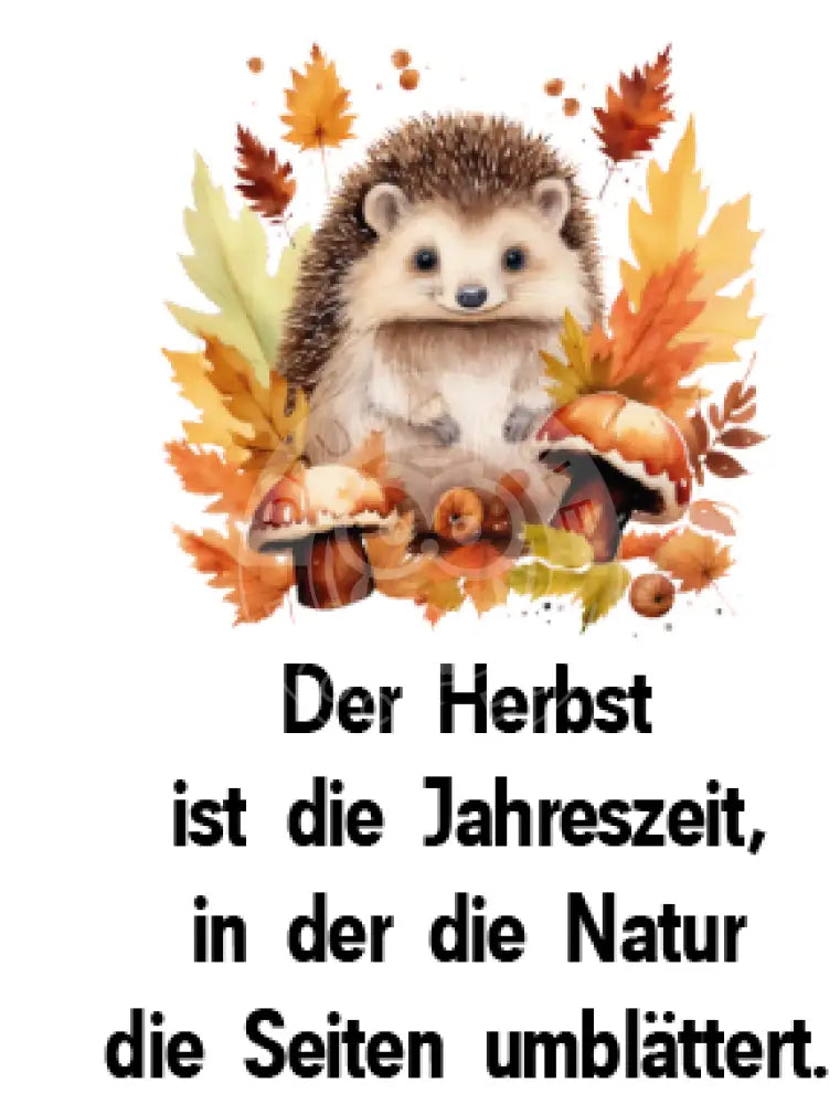 Rubon Bogen Herbst Igel 1 rubon