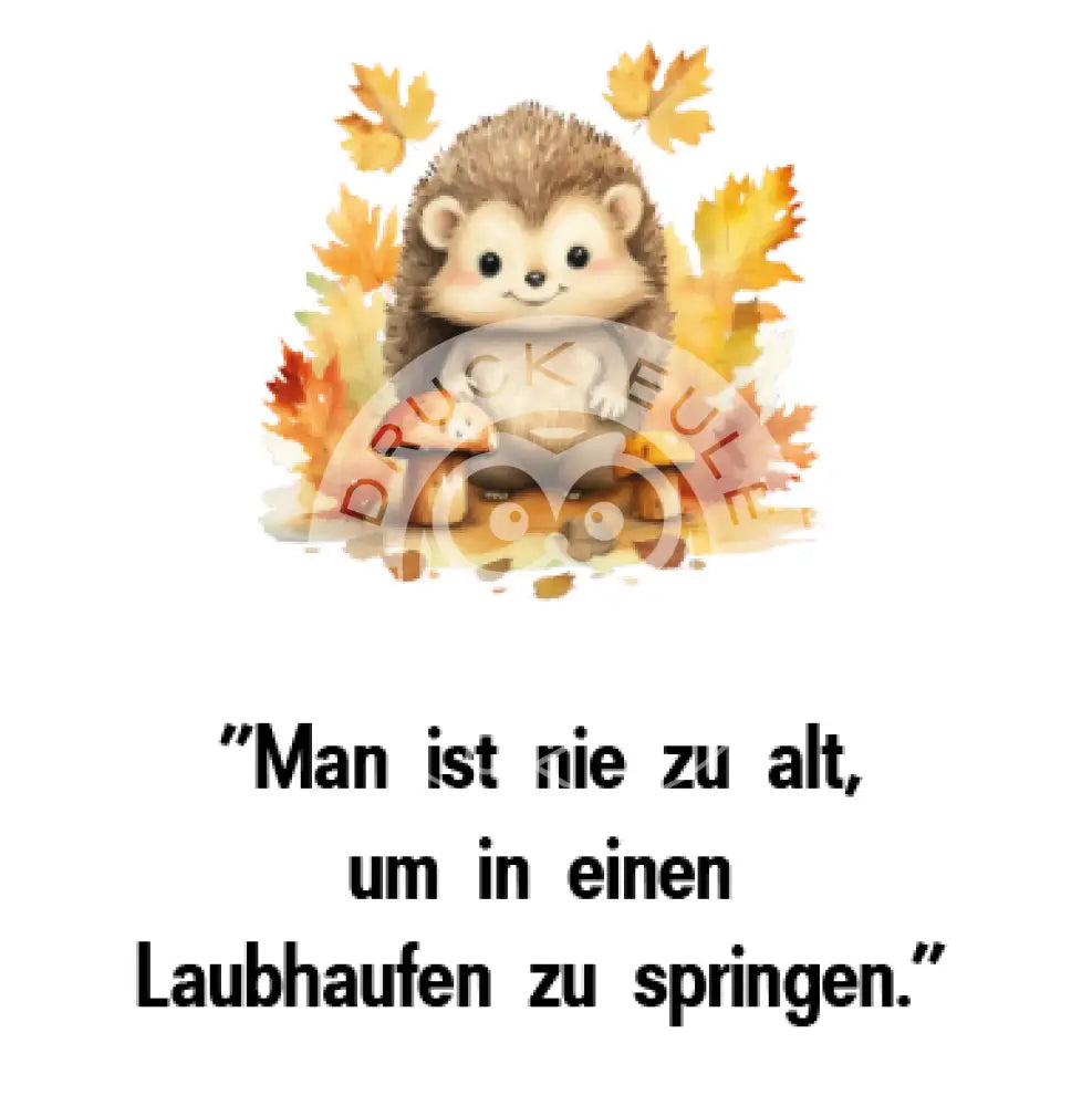 Rubon Bogen Herbst Igel 1 rubon