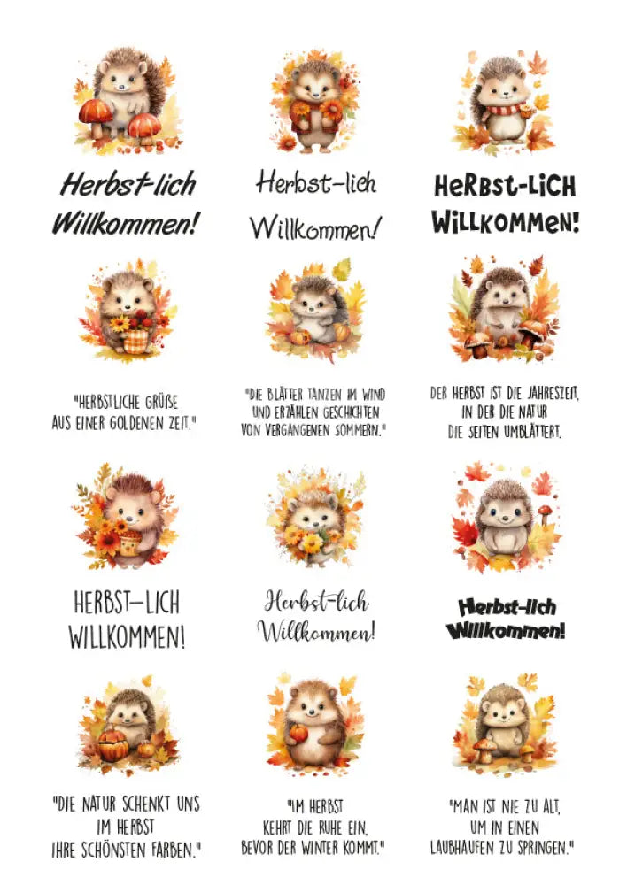 Rubon Bogen Herbst Igel 1 rubon