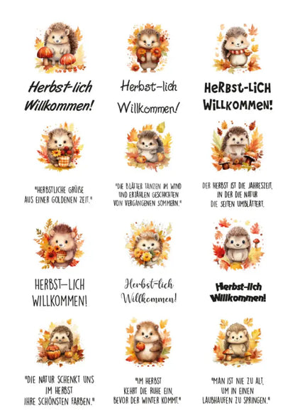 Rubon Bogen Herbst Igel 1 rubon