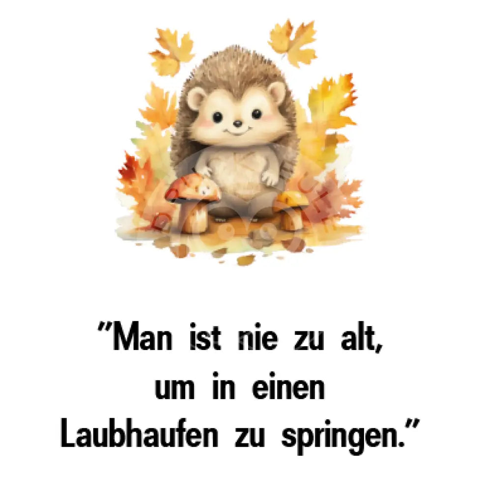 Rubon Bogen Herbst Igel 1 rubon