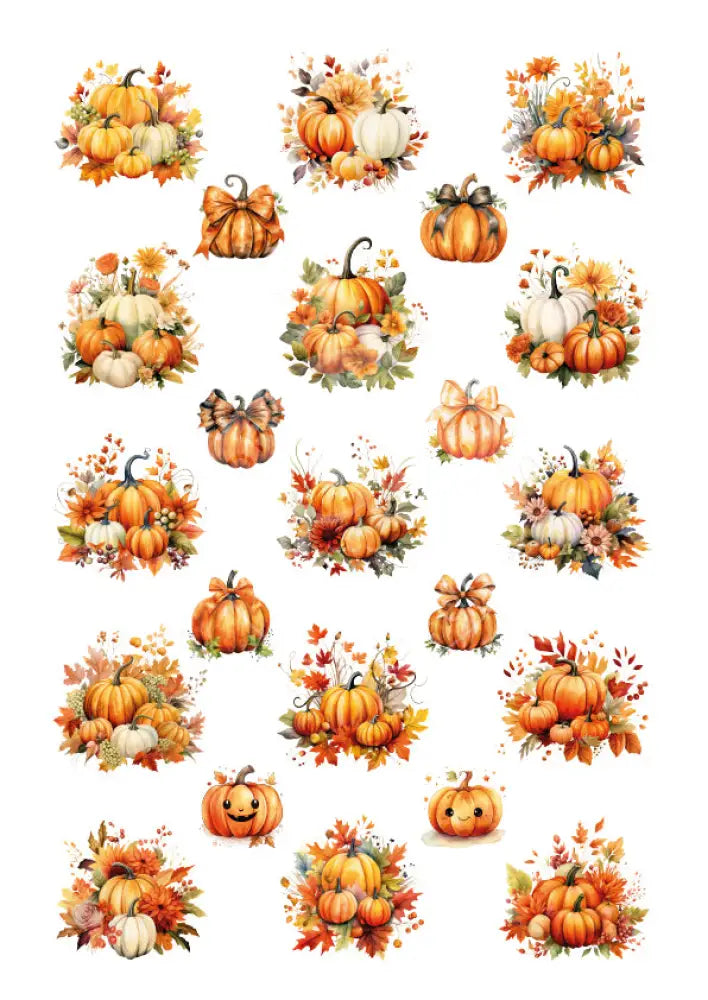 Rubon Bogen Kürbis 2 rubon