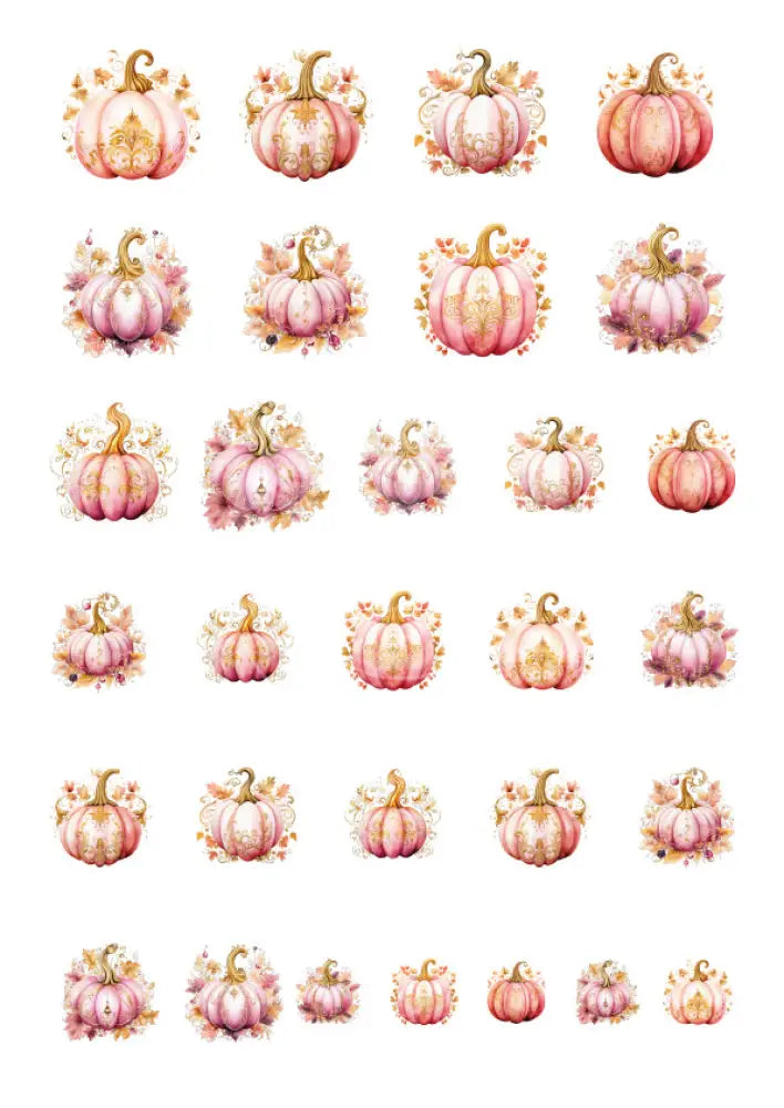 Rubon Bogen Kürbis 3 rubon