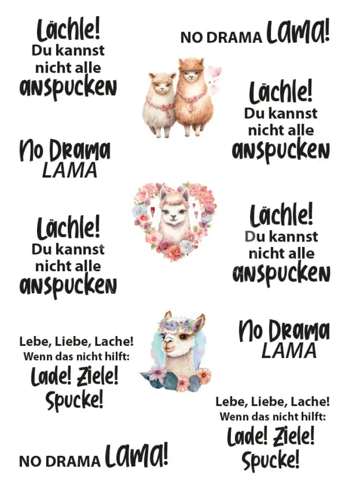 Rubon Bogen Lama 1 Rubon