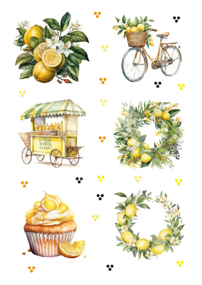 Rubon Bogen Lemon Dream 1 - rubon