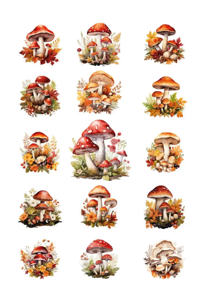 Rubon Bogen Pilze 2 rubon