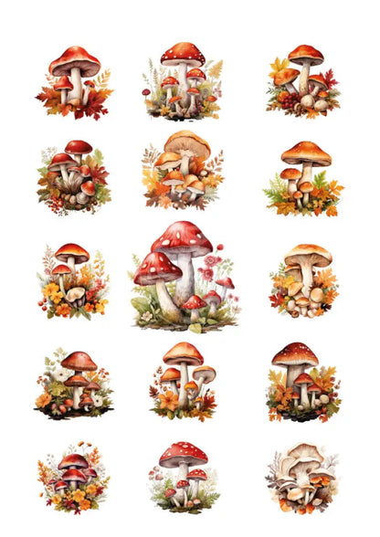 Rubon Bogen Pilze 2 rubon