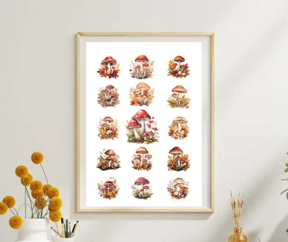 Rubon Bogen Pilze 2 rubon