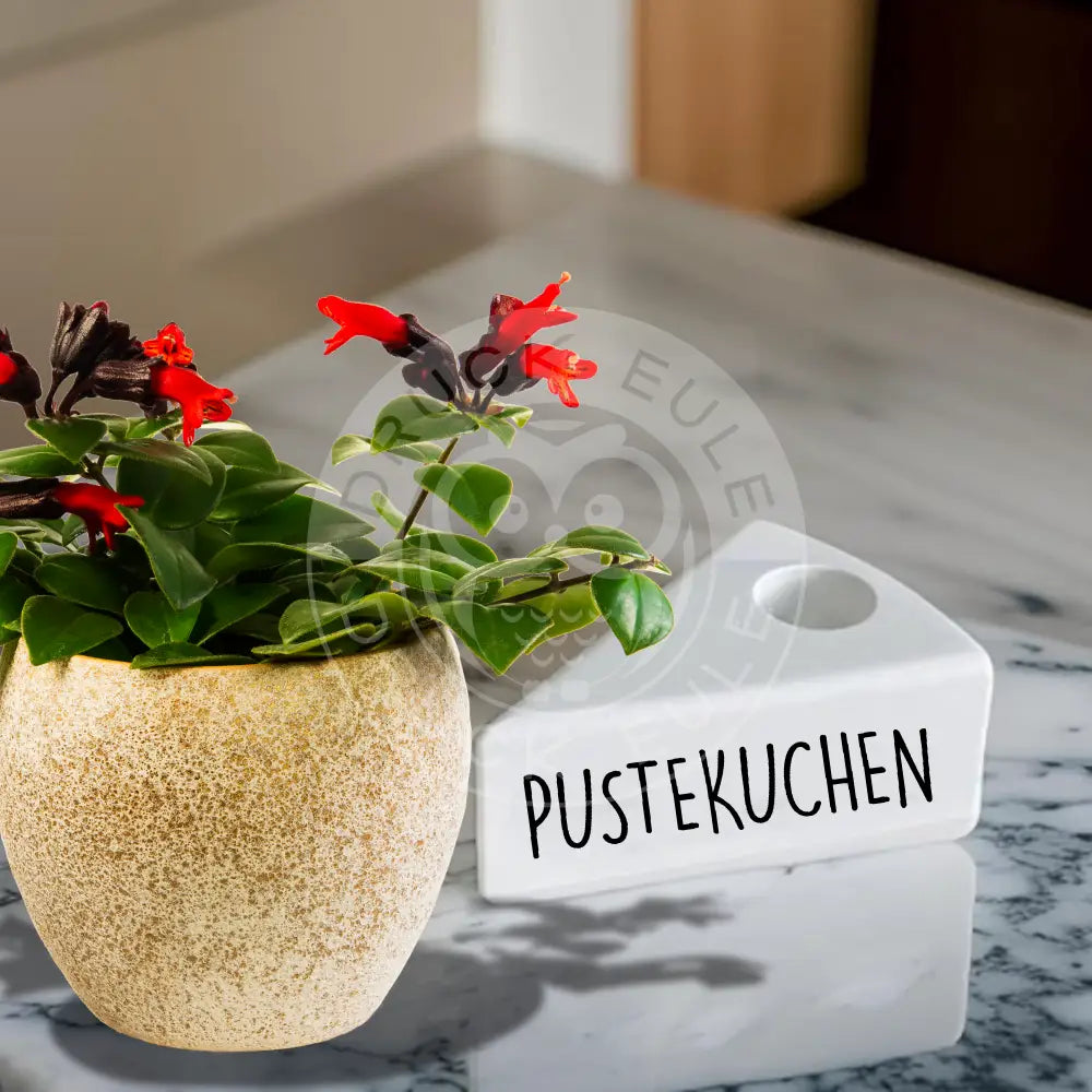 Rubon Bogen Pustekuchen 1 Rubon