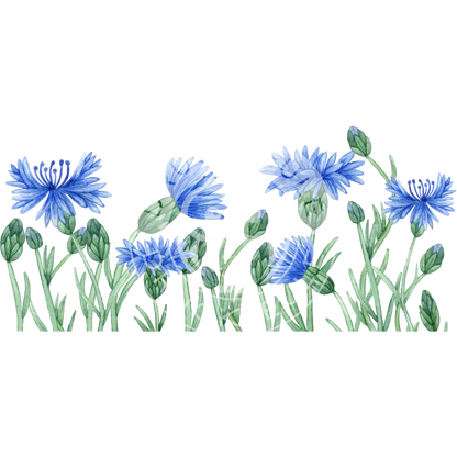 Wasserschiebefolie Blumenwiese 1